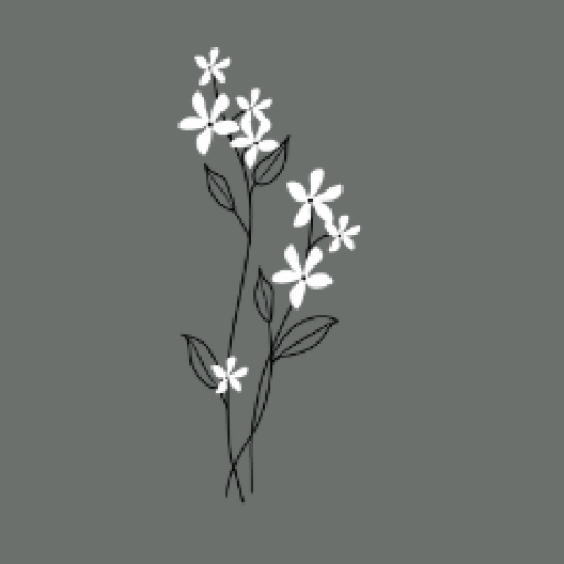 le.jasmin.blanc