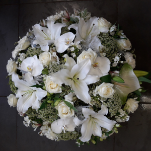 coussin rond blanc deuil jasmin blanc cagnes sur mer