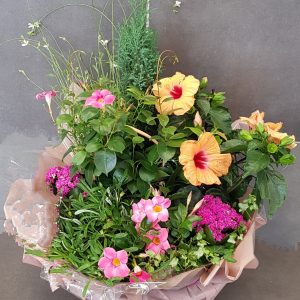 Coupe de plantes Rose/violet - jaune