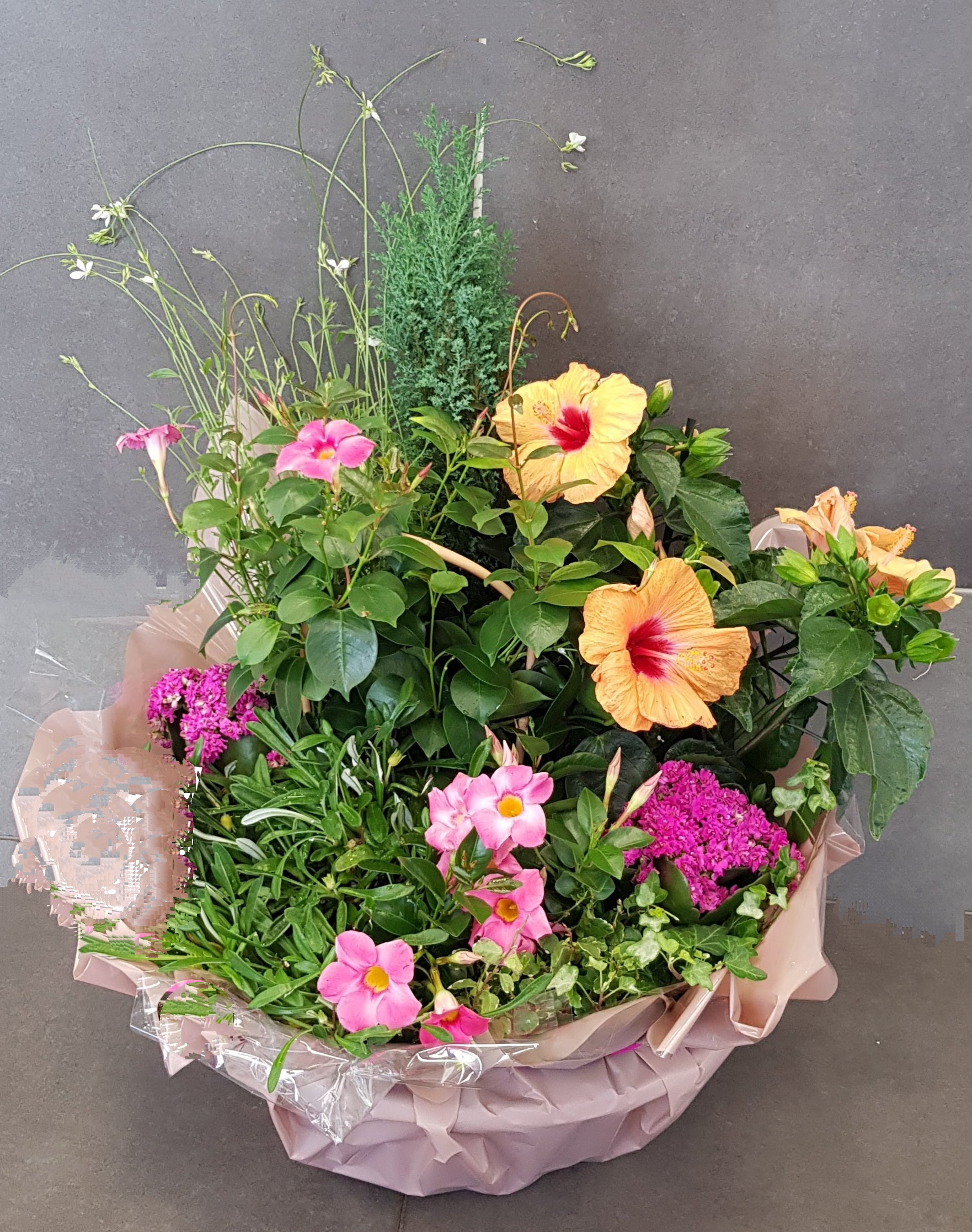 Coupe de plantes Rose/violet - jaune