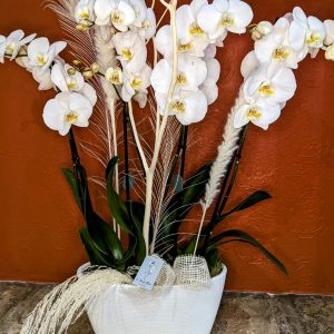Coupe orchidées